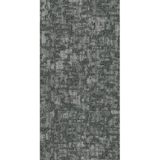 Picture of Philadelphia Commercial by Shaw - Arid 18 x 36 Glacier