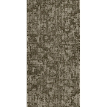 Picture of Philadelphia Commercial by Shaw - Arid 18 x 36 Salt Flat