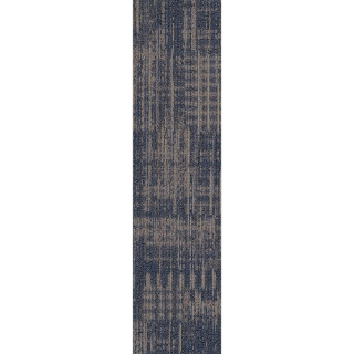 Picture of Philadelphia Commercial by Shaw - Harmony 12 x 48 Euphony