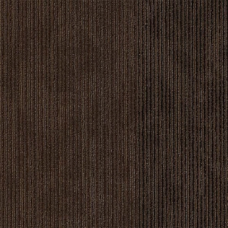 Picture of Philadelphia Commercial by Shaw - Disclose Coverage