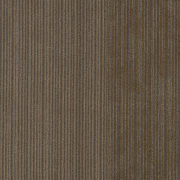 Picture of Philadelphia Commercial by Shaw - Disclose Front Page