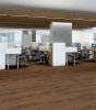 Picture of Philadelphia Commercial by Shaw - Bosk Pro 6 Driftwood Beech