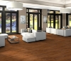 Picture of Philadelphia Commercial by Shaw - Bosk Pro 6 Mountain Oak