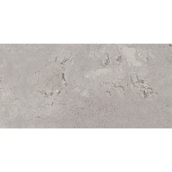 Picture of Emser Tile - Newport 12 x 24 Matte Ferry