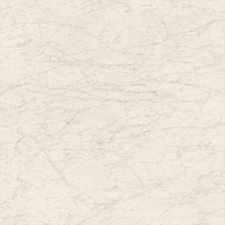 Picture of SOHO Studio Corp - Marmi DItalia 6 x 6 Polished Bianco Gioia