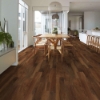 Picture of Shaw Floors - Endura Plus Amber Oak