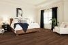 Picture of Shaw Floors - Endura Plus Amber Oak