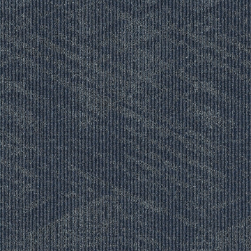 Picture of Mohawk Group - Academic View Cadet