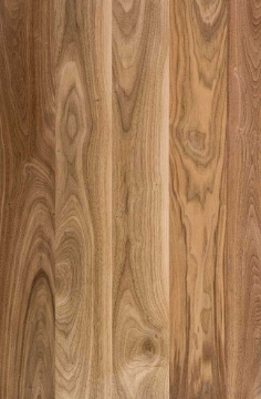 Picture of Maxwell Hardwood Flooring - Townsend Additions Select and Better 4 Walnut