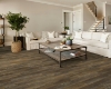 Picture of Shaw Floors - Pantheon HD Plus Saggio