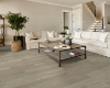 Picture of Shaw Floors - Pantheon HD Plus Tufo