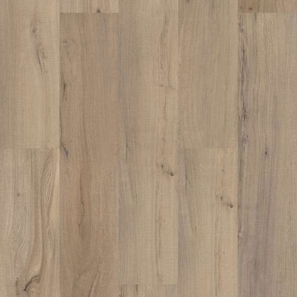 Picture of Shaw Floors - Endura Plus Driftwood