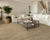 Picture of Shaw Floors - Endura Plus Marina