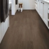 Picture of Shaw Floors - Endura Plus Casual Comfort