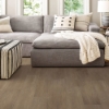 Picture of Shaw Floors - Endura Plus Casual Comfort