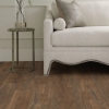 Picture of Shaw Floors - Endura Plus Modern Classic