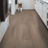 Picture of Shaw Floors - Endura Plus Simple Wash