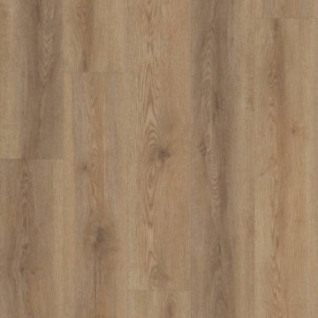 Picture of Shaw Floors - Pantheon HD Plus Caldo
