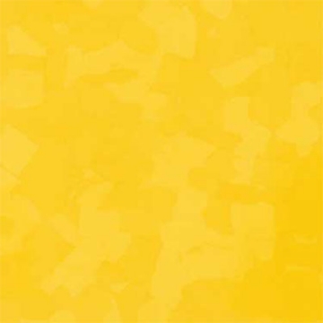 Picture of VPI Corp. - PRT Earthtones Feature Strip 1 x 36 Lemon Rock