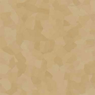 Picture of VPI Corp. - PRT Earthtones Feature Strip 2 x 36 African Granite