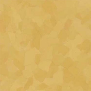 Picture of VPI Corp. - PRT Earthtones Feature Strip 5 x 24 Grand Canyon Yellow