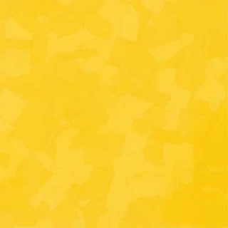 Picture of VPI Corp. - PRT Earthtones Feature Strip 5 x 24 Lemon Rock