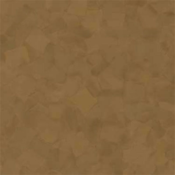 Picture of VPI Corp. - PRT Earthtones Feature Strip 5 x 24 Salvador Brownstone