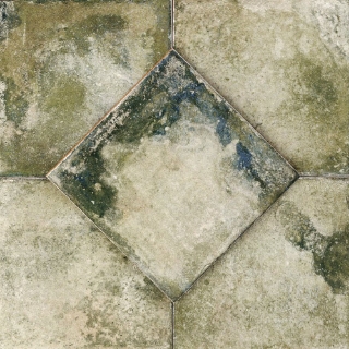 Picture of SOHO Studio Corp - Angela Harris Dunmore Polished Green