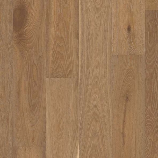 Picture of Shaw Floors - Expressions 7.5 Artistry