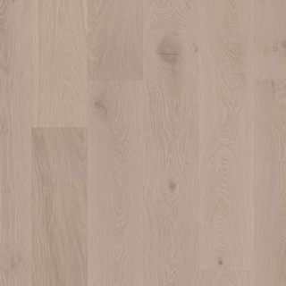 Picture of Shaw Floors - Expressions 7.5 Melody