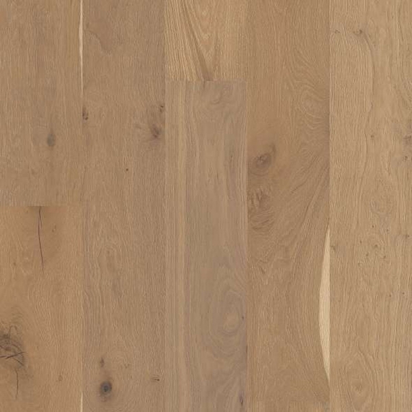Picture of Shaw Floors - Expressions 7.5 Alla Prima