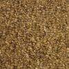 Picture of SFI Floors - Synergy Wheat