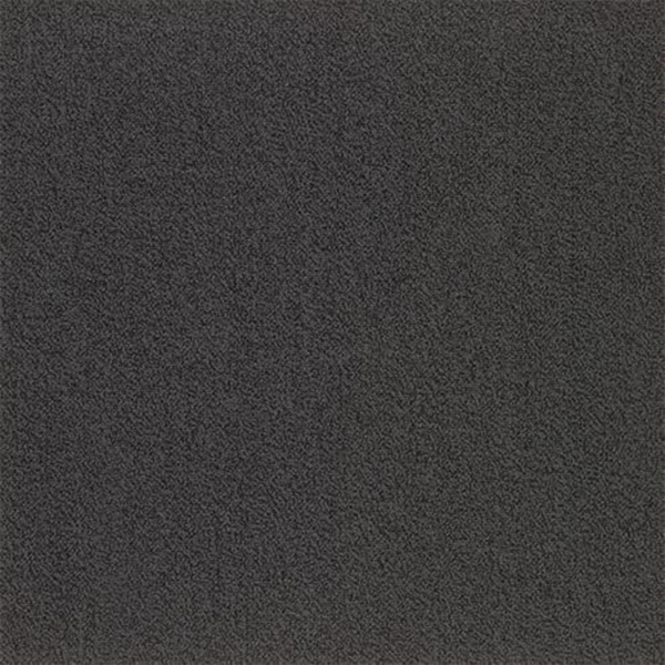 Picture of SFI Floors - Capital Blackbird