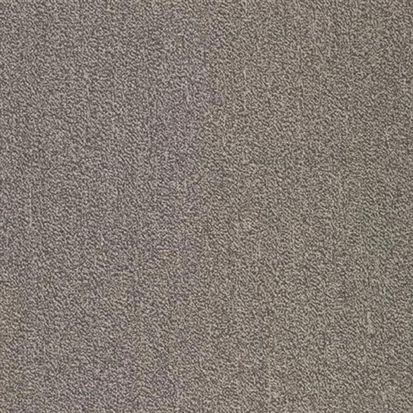 Picture of SFI Floors - Capital Dove Bar