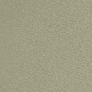 Picture of Johnsonite - Solid Colors Forged Gecko