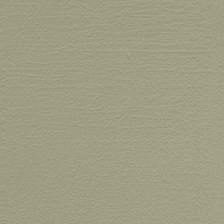 Picture of Johnsonite - Solid Colors Woodgrain Gecko