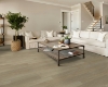 Picture of Shaw Floors - Distinction Plus Timeless Oak