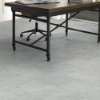 Picture of Shaw Floors - Paragon Tile Plus Pearl