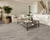 Picture of Shaw Floors - Paragon Tile Plus Pebble