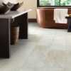Picture of Shaw Floors - Paragon Tile Plus Shale