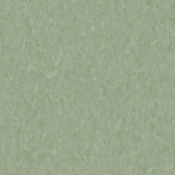 Picture of Tarkett - Melodia 24 x 24 Aloe Plant