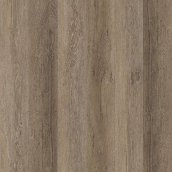 Picture of Fusion - eMax IXPE Benedictine