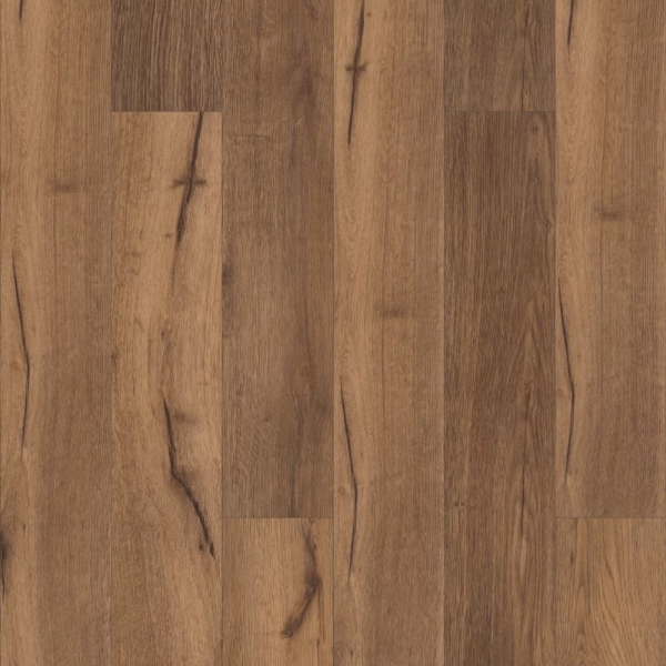 Picture of Fusion - eMax IXPE Chambord