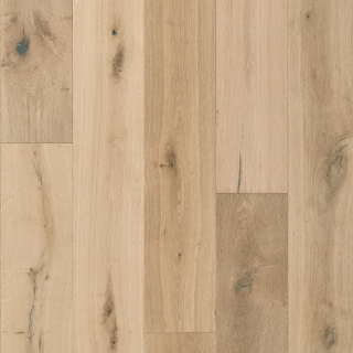 Picture of Mannington - Sanctuary Shell