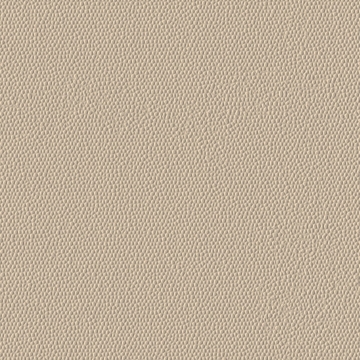 Picture of Burke - Colorscape Sculptured 18 x 18 Cream