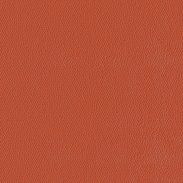 Picture of Burke - Colorscape Sculptured 18 x 18 Mango