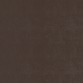 Picture of Burke - Colorscape Sculptured 36 x 36 Brown