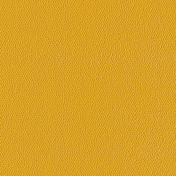 Picture of Burke - Colorscape Sculptured 36 x 36 Daffodil