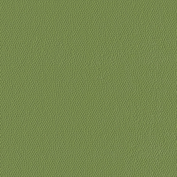 Picture of Burke - Colorscape Sculptured 36 x 36 Sugar Snap