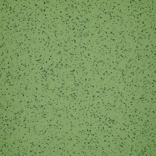 Picture of Burke - Colorspec Smooth 36 x 36 English Pea